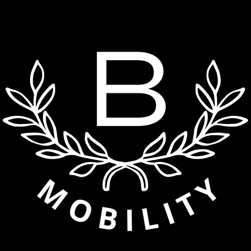 Luxury Car Transfers Amsterdam | Bolwerk Mobility Services